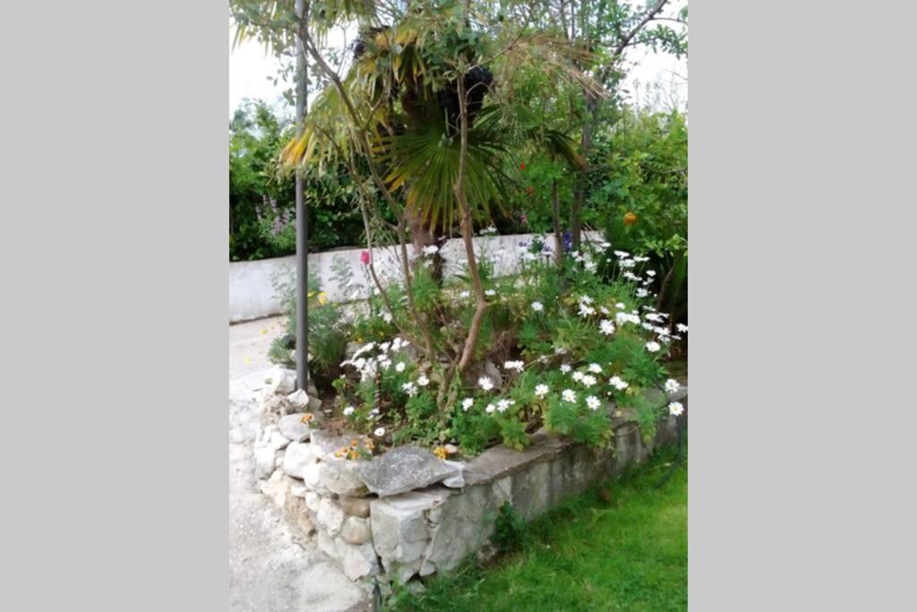 ペスカーラResidenza Floresアパートメント エクステリア 写真